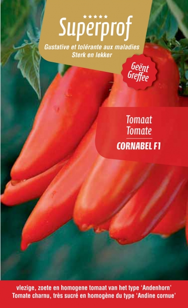 tomate greffée Bellandine Cornabel  (tray 8 pot)